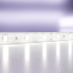 Миниатюра изображения товара Светодиодная лента Maytoni Led Strip 12В / 10107 (белый)