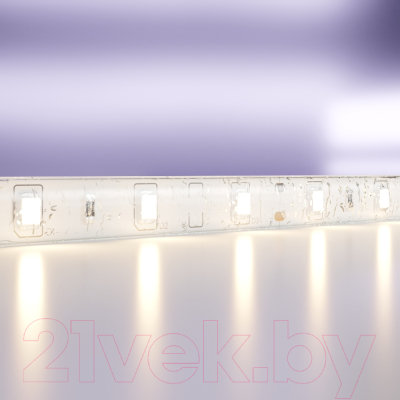 Светодиодная лента Maytoni Led Strip 12В / 10105 (белый)