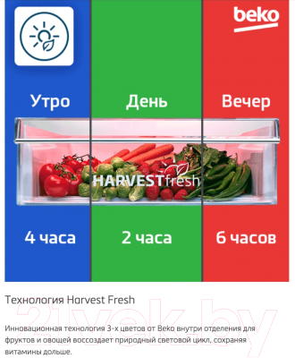 Изображение товара Холодильник с морозильником Beko B1DRCNK362HSB