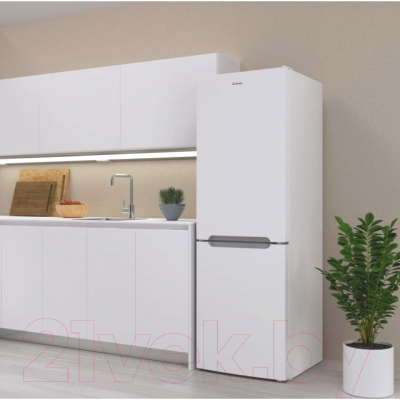 Изображение товара Холодильник с морозильником Candy CCRN 6180W