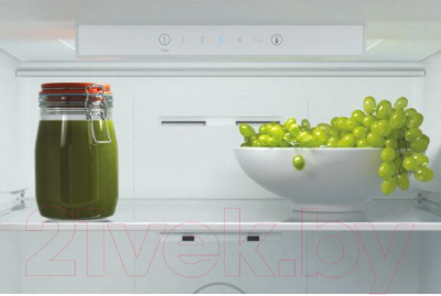 Изображение товара Холодильник с морозильником Candy CCRN 6200W