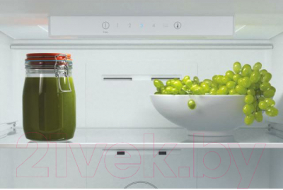 Изображение товара Холодильник с морозильником Candy CCRN 6200S