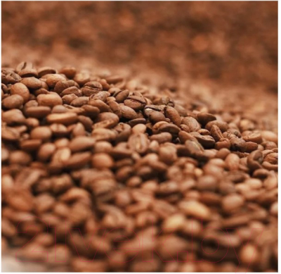 Кофе в зернах Coffee Factory Колумбия Супремо Уила (500г)