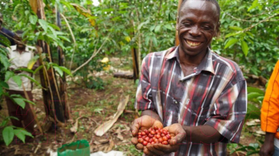Кофе в зернах Coffee Factory Уганда Робуста (250г)