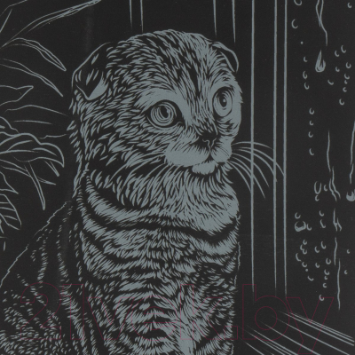 Изображение товара Гравюра Lori Кошки. Шотландская вислоухая / Гр-673