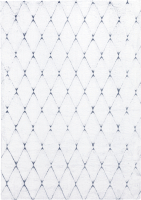 

Ковер Chistetika, Vivica 160x230 / 38918