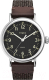 Часы наручные мужские Timex TW2U89600 - 
