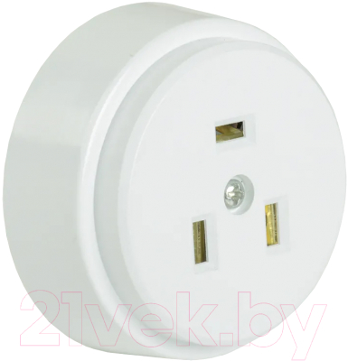 Розетка IEK ERP10-32-01-K01 (белый)
