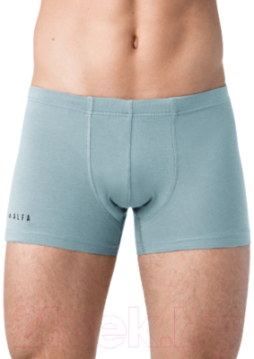 Изображение товара Трусы мужские Alfa Man 6300 (р-р 86-90, серая дымка)