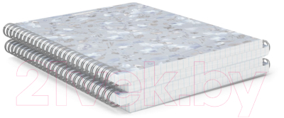 Изображение товара Тетрадь Erich Krause Frozen Beauty А5 / 54133 (80л)