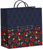 

Пакет подарочный ТИКО-Пластик, Адам / н00152432