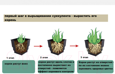 Кашпо BOTANICA Air (15x12.5см, белый/черный)