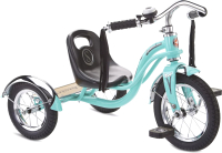 Трехколесный велосипед Schwinn Roadster Trike 2022/ S6837RU - 