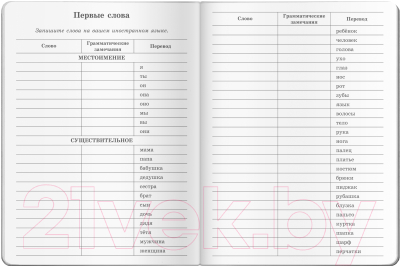 Тетрадь предметная Айрис-пресс Для записи иностранных слов. Котята