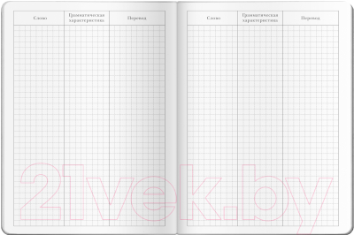 Тетрадь предметная Айрис-пресс Для записи иностранных слов. Париж