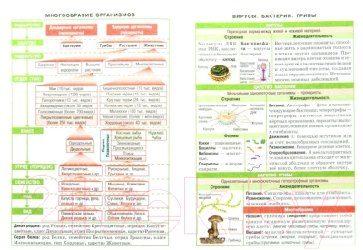 Учебное пособие Айрис-пресс Справочник в таблицах. Биология. 7-11 класс