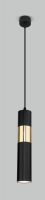 Потолочный светильник Евросвет Viero 50097/1 (черный/золото) - 
