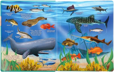 Развивающая книга Умка Тайны подводного мира. 100 окошек для малышей