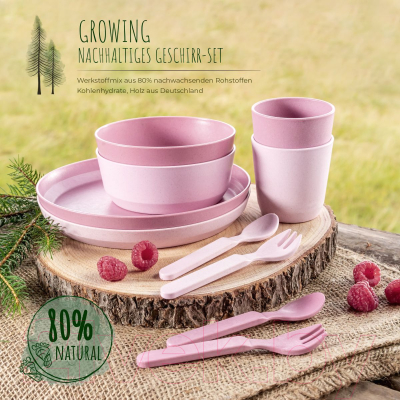 Набор посуды для кормления Reer Growing / 22084 (розовый)