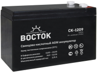 Батарея для ИБП ВОСТОК СК-1209 - 