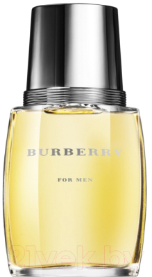 Туалетная вода Burberry Classic for Men