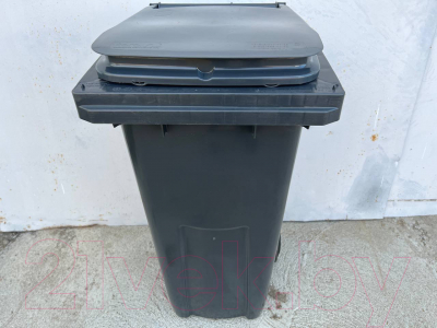 Контейнер для мусора Эдванс 120л, с крышкой (пластик, серый)