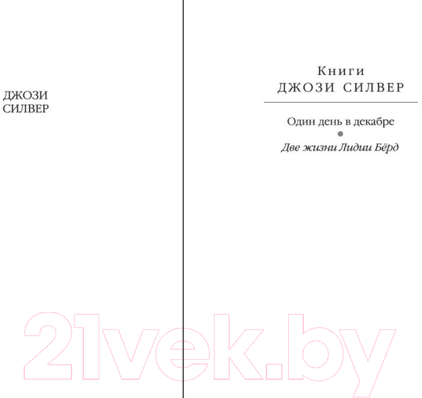 Художественная книга Иностранка Две жизни Лидии Берд (Силвер Дж.) — фото 2