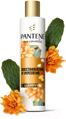 Шампунь для волос PANTENE Pro-V Miracles Восстановление и укрепление (250мл)