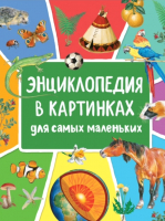 Энциклопедия Росмэн В картинках для самых маленьких (Клюшник Л.В.) - 