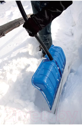 Лопата для уборки снега Prosperplast Alpinus Alutube Ergo / IL3TBE-B333 (синий)