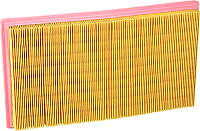 

Воздушный фильтр, C2966