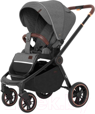 Детская универсальная коляска Carrello Epica 2 в 1 2023 / CRL-8510/1 (Iron Grey)