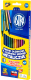 Набор цветных карандашей Astra Black Wood Metallic / 312114002 (12цв) - 