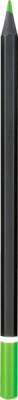Набор цветных карандашей Astra Black Wood / 312114001 (12цв)
