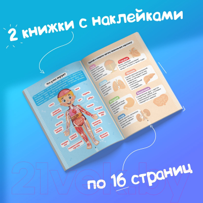 Набор развивающих книг Буква-ленд Тело человека / 4859821