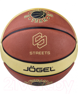 Баскетбольный мяч Jogel Dream Team / BC21 (размер 7)