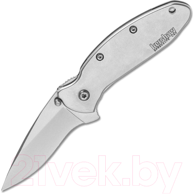 Нож складной Kershaw Scallion Stainless / 1620FL