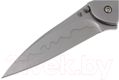 Нож складной Kershaw Leek / 1660CB