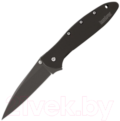 Нож складной Kershaw Leek / 1660CKT