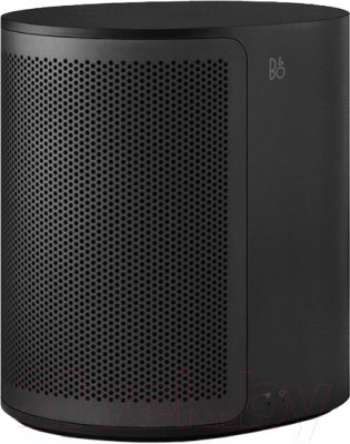 Портативная колонка Bang & Olufsen BeoPlay M3 / 1200316 (черный)
