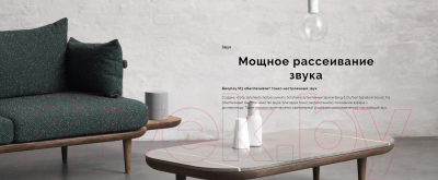 Портативная колонка Bang & Olufsen BeoPlay M3 / 1200316 (черный)