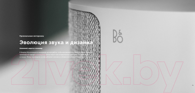 Портативная колонка Bang & Olufsen BeoPlay M3 / 1200316 (черный)
