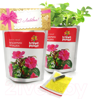 Набор для выращивания растений Happy Plant Бальзамин милашка / hpn-31