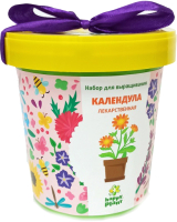 

Набор для выращивания растений Happy Plant, Календула лекарственная / hpn-27
