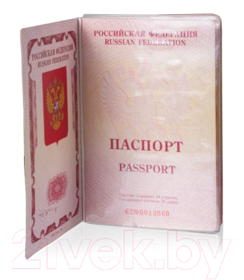 Обложка на паспорт Staff 237963 (10шт)
