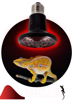 Лампа для террариума ЭРА FITO-150W-НQ / Б0052716