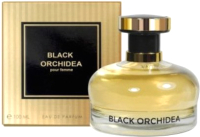 Парфюмерная вода Neo Parfum Black Orchid (100мл) - 