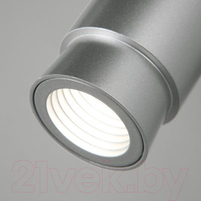 Спот Евросвет 20125/1 LED (серебро)