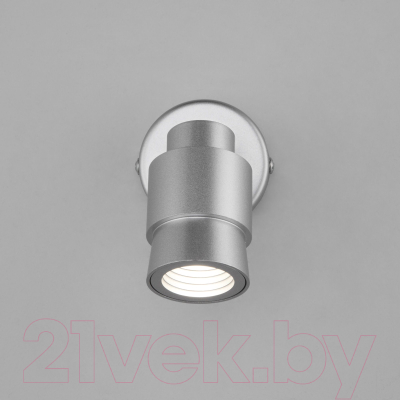 Спот Евросвет 20125/1 LED (серебро)