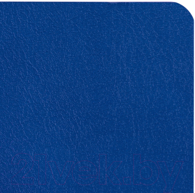 Записная книжка Brauberg Ultra / 113005 (темно-синий)